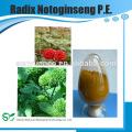 Extracto de Hierbas de Alta Calidad Radial Notoginseng PE